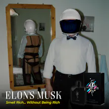 Elon's Musk gallery image