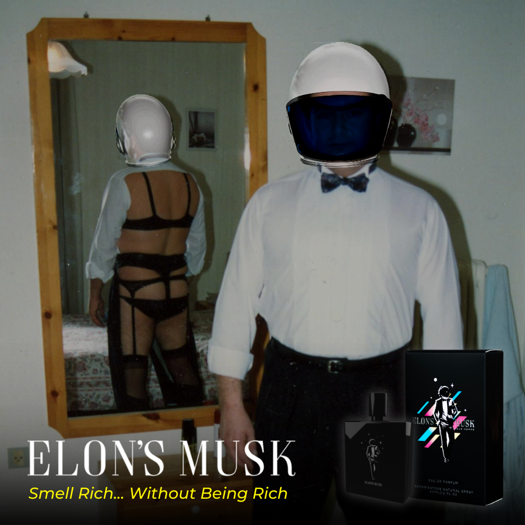 El almizcle de Elon - Solo 3 aerosoles y eres multimillonario. media 6