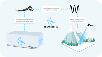 Snowfly gallery image