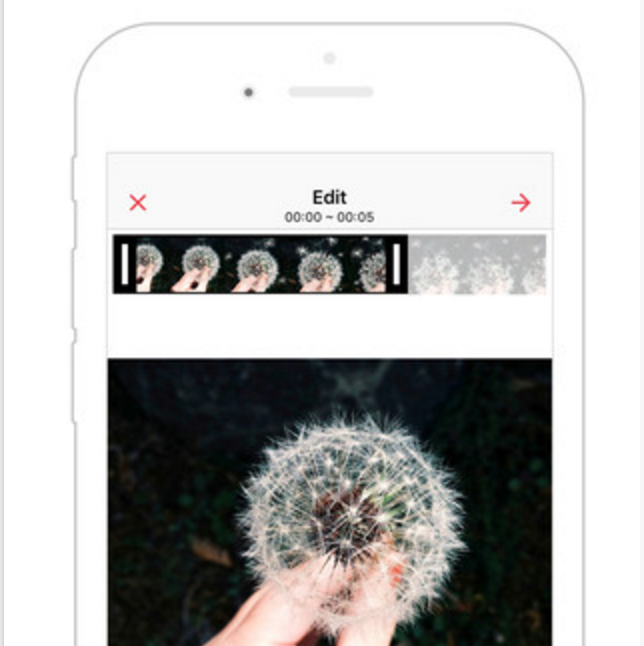 intoLive gallery image