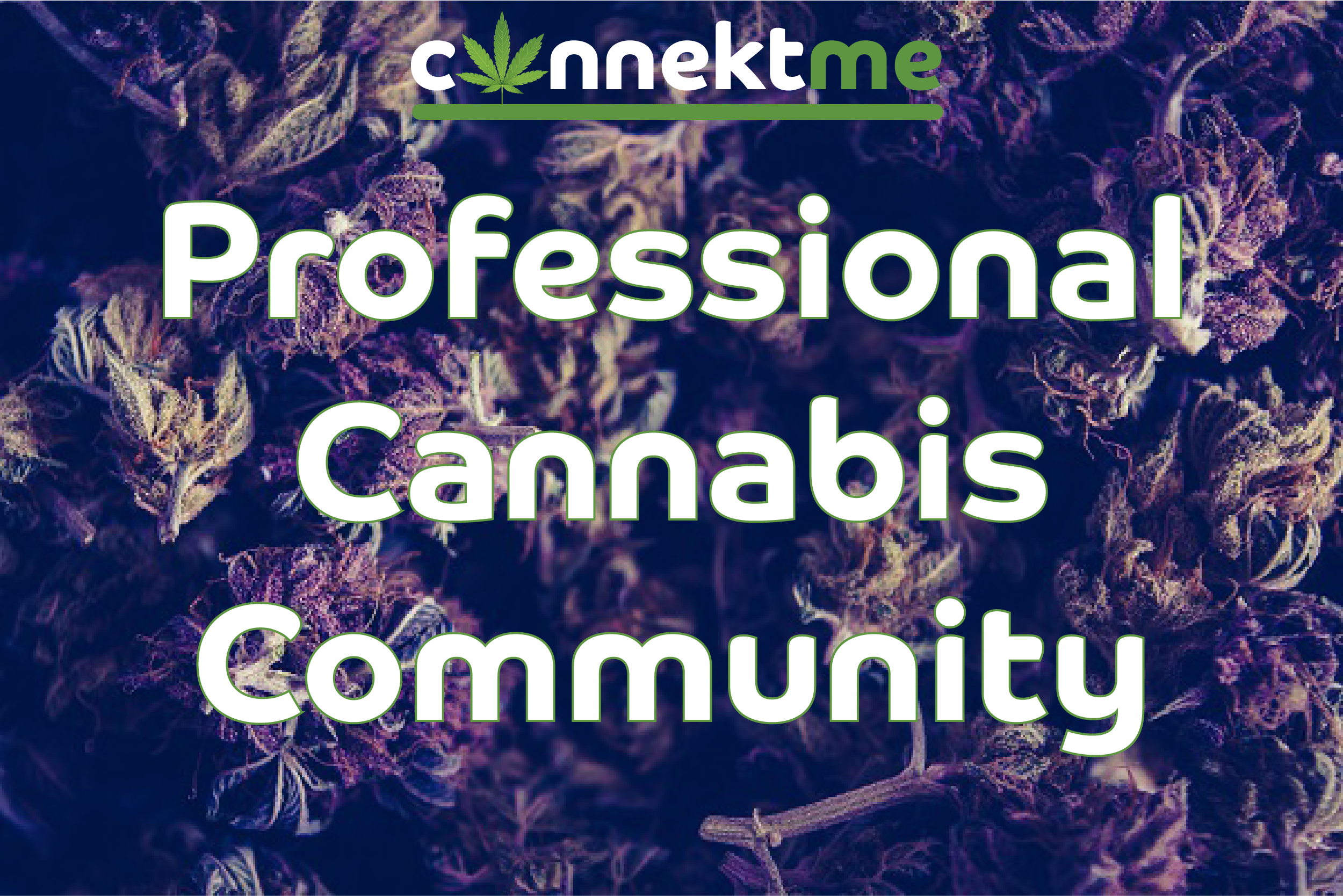 cannektme gallery image