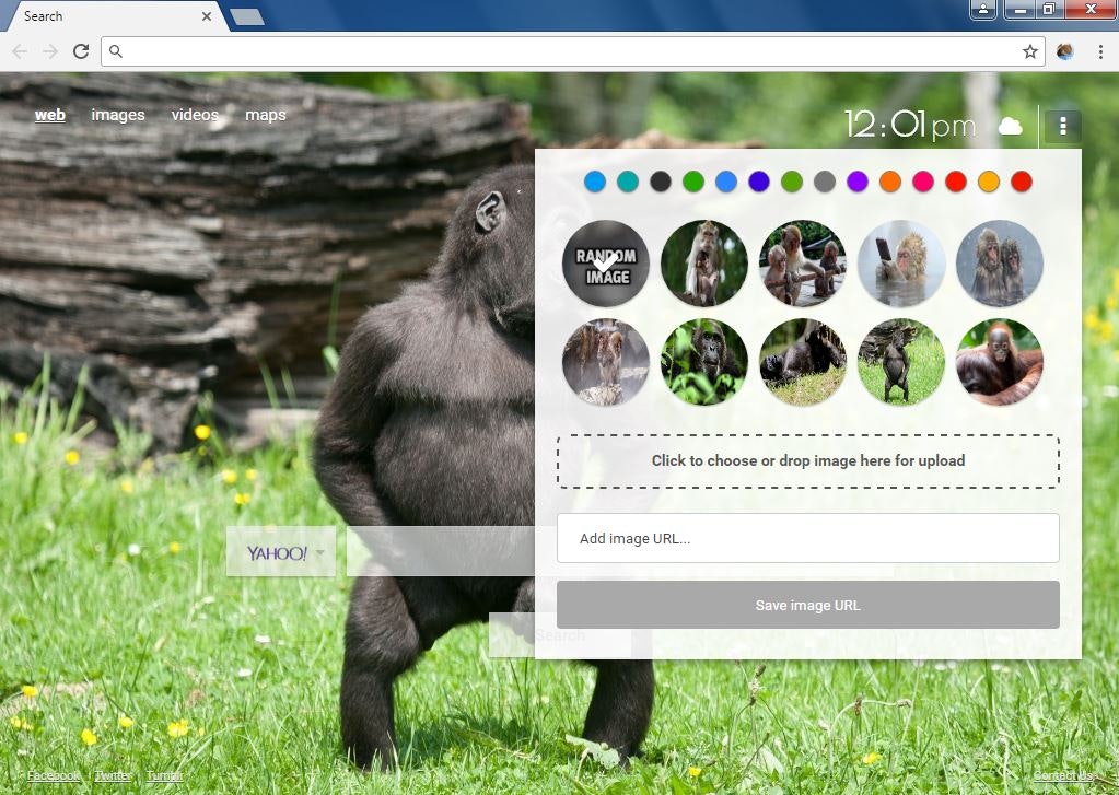 Monkey Wallpapers Chrome Extension gallery image