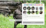 Monkey Wallpapers Chrome Extension image