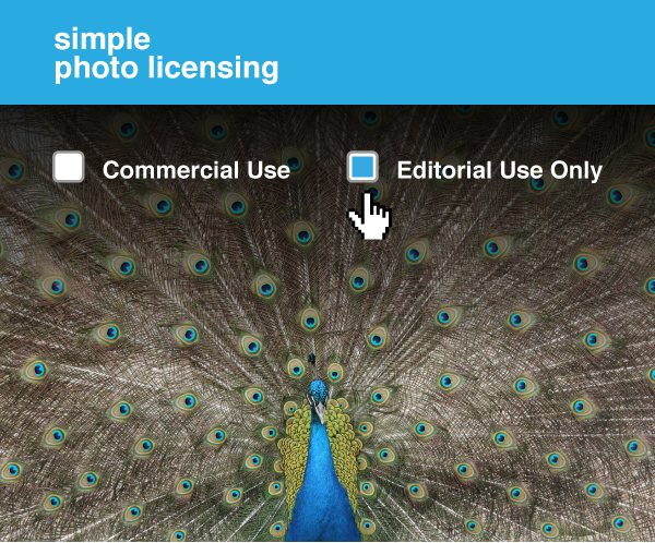 Klloom gallery image