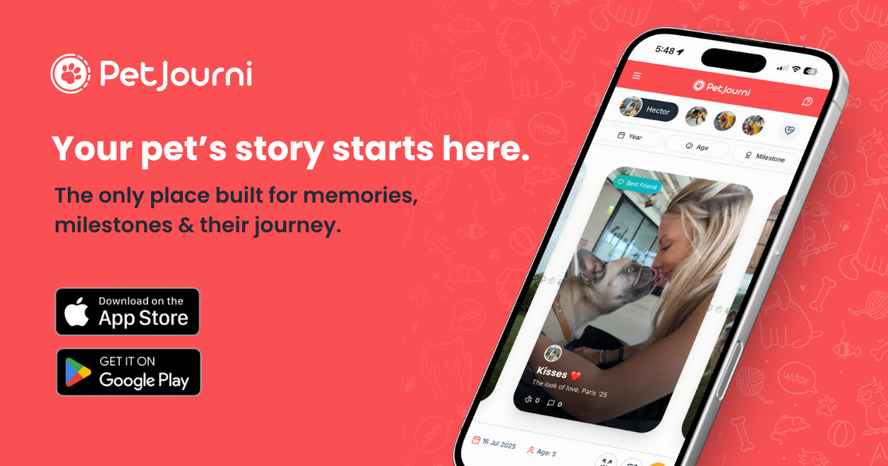 PetJourni gallery image