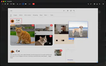 SnapEdit gallery image