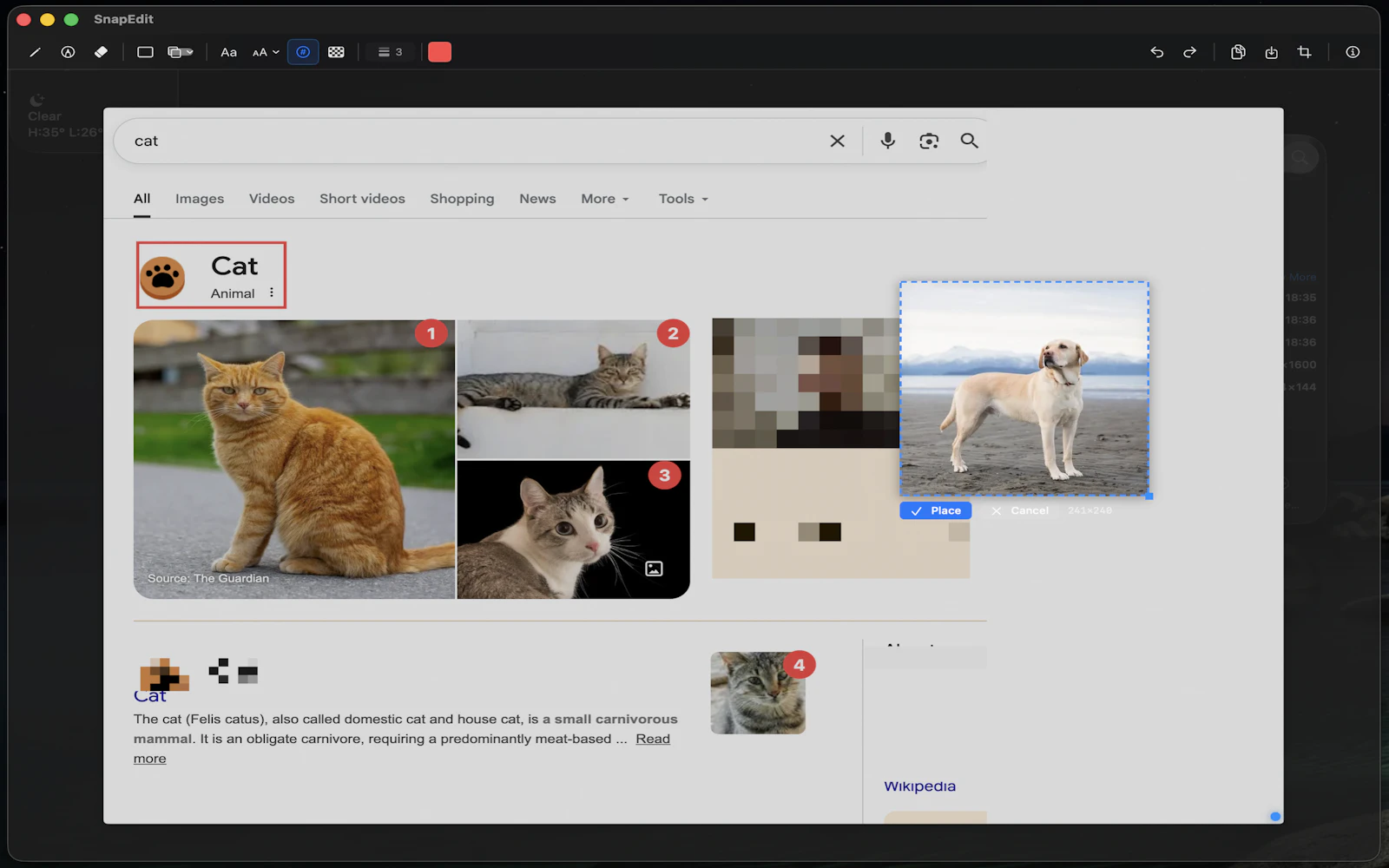 SnapEdit screenshot 4
