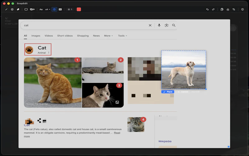 SnapEdit screenshot 4