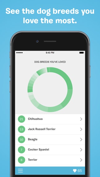 BarkBuddy gallery image