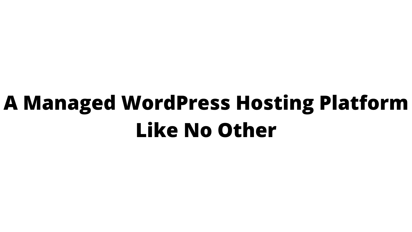 Stackppy India - Купить хостинг WordPress следующего поколения в Индии медиа 3