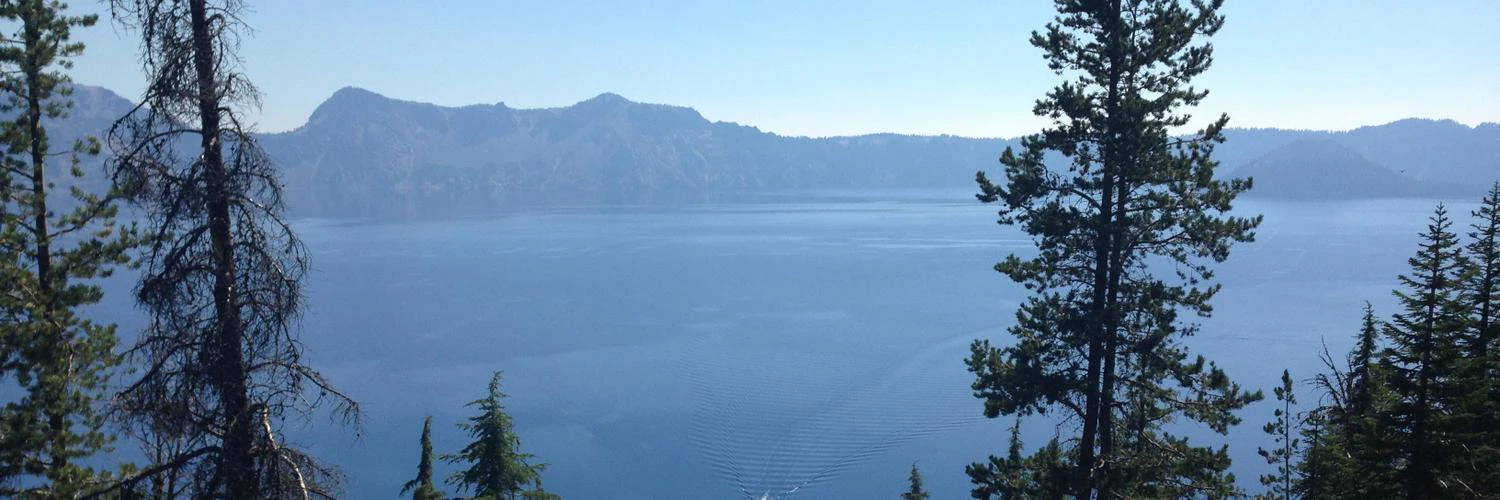 Steven Gilbert cover