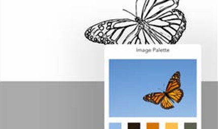 Colorscape Image
