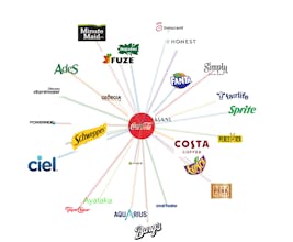 Momma Company gallery image