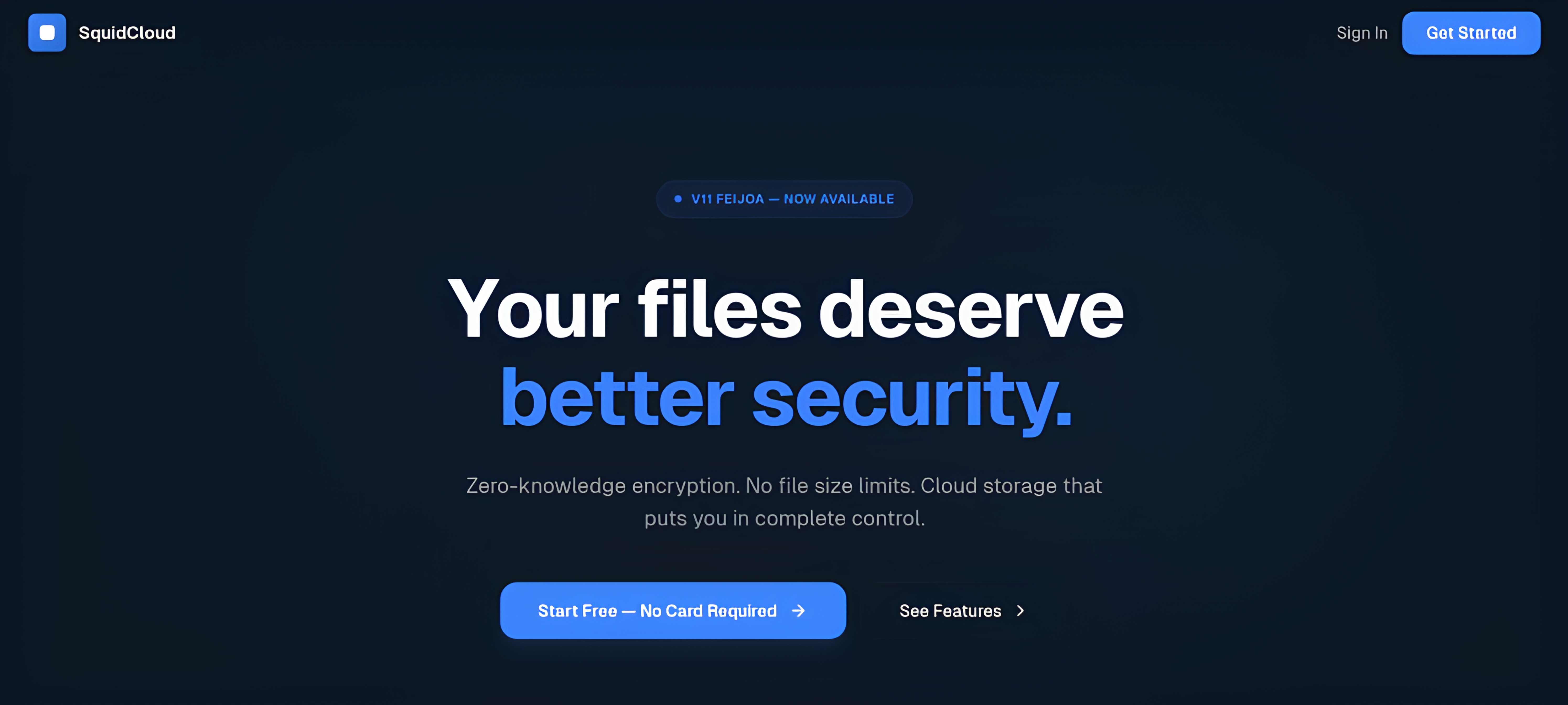 SquidCloud gallery image