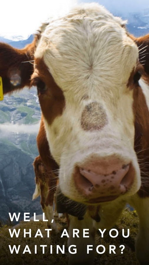 Worldview: Share Amazing Moments, Travel the World gallery image