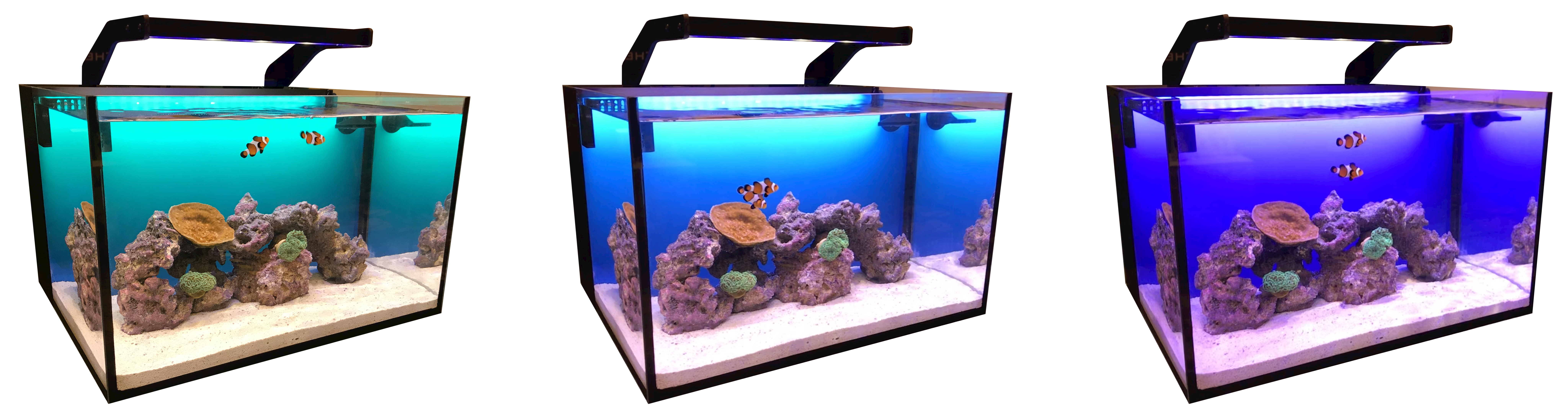 theReefbox™ All-in-One Aquarium gallery image
