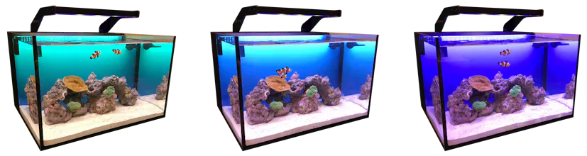 theReefbox™ All-in-One Aquarium gallery image