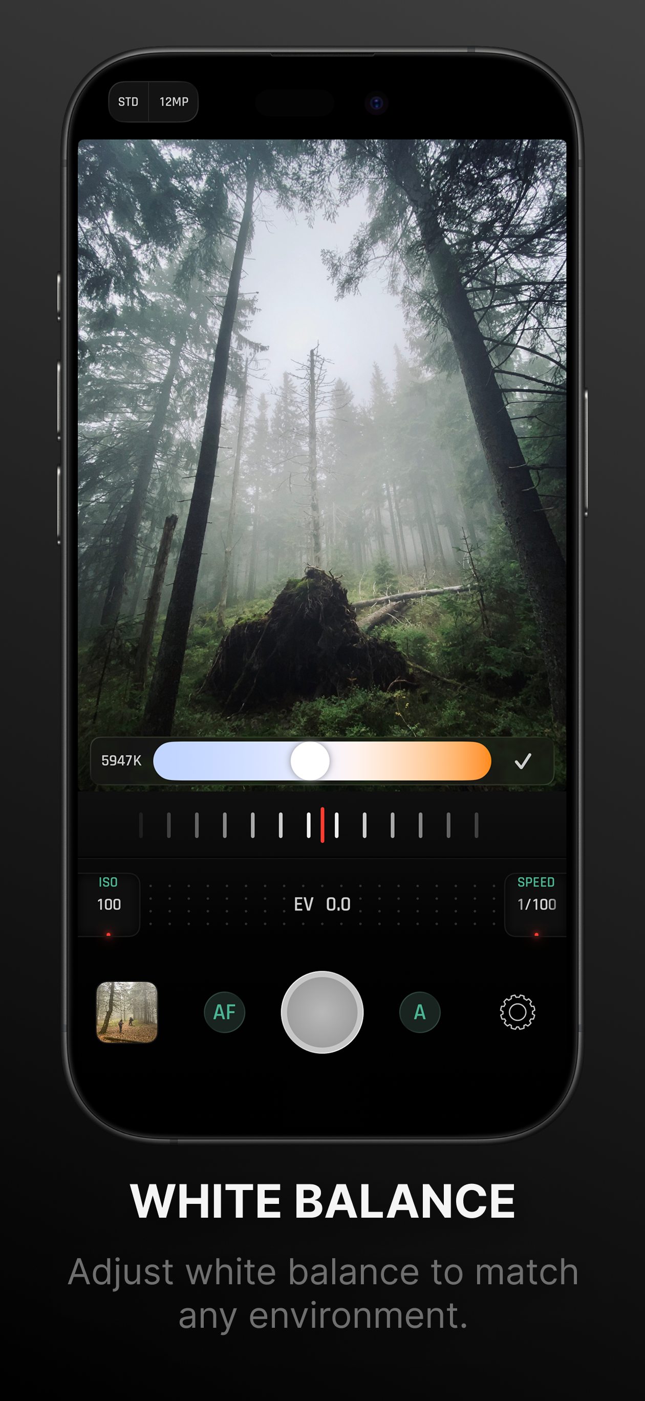 Optika 2 gallery image