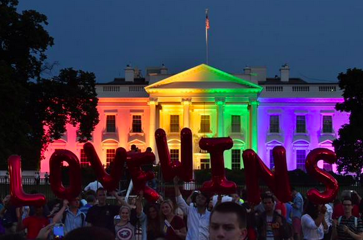 Grasswire gallery image