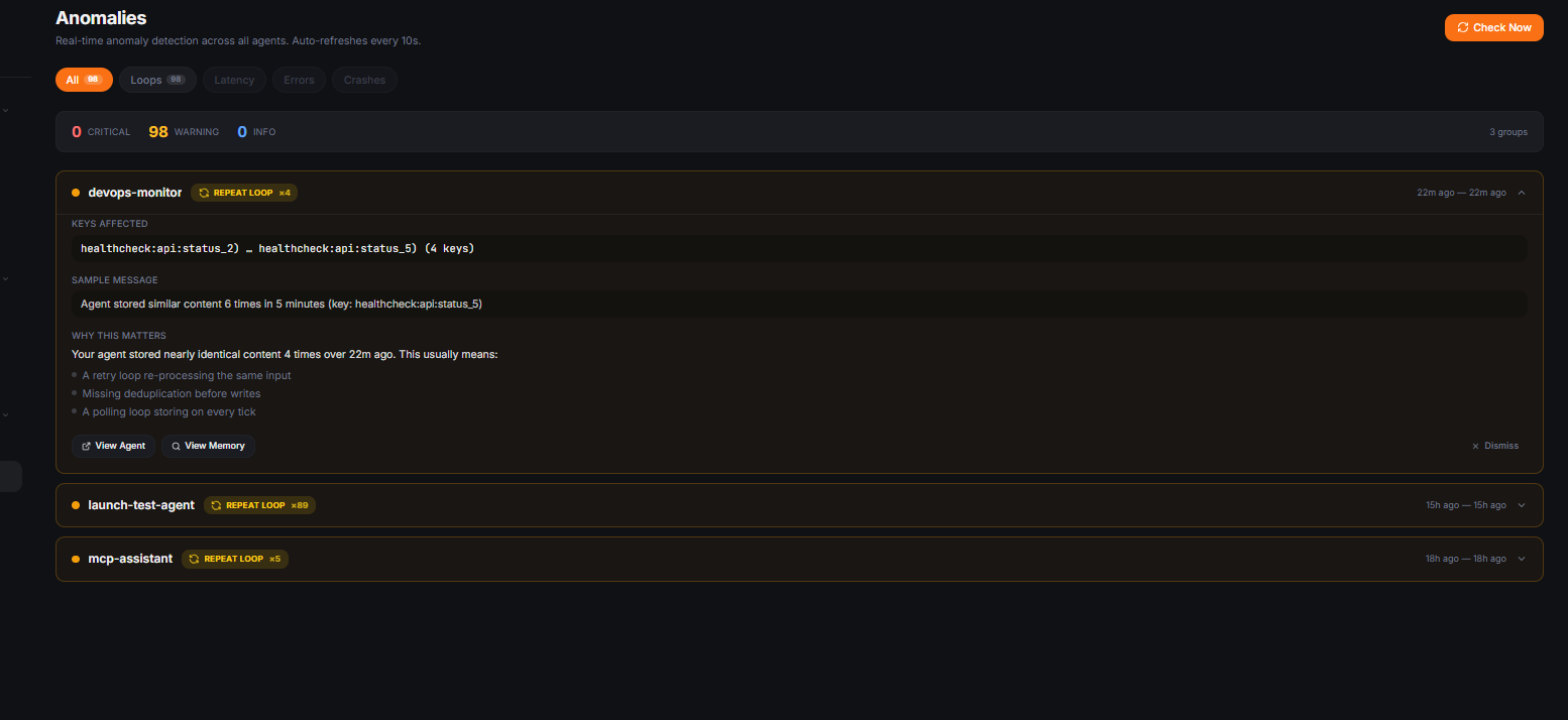 Octopoda gallery image