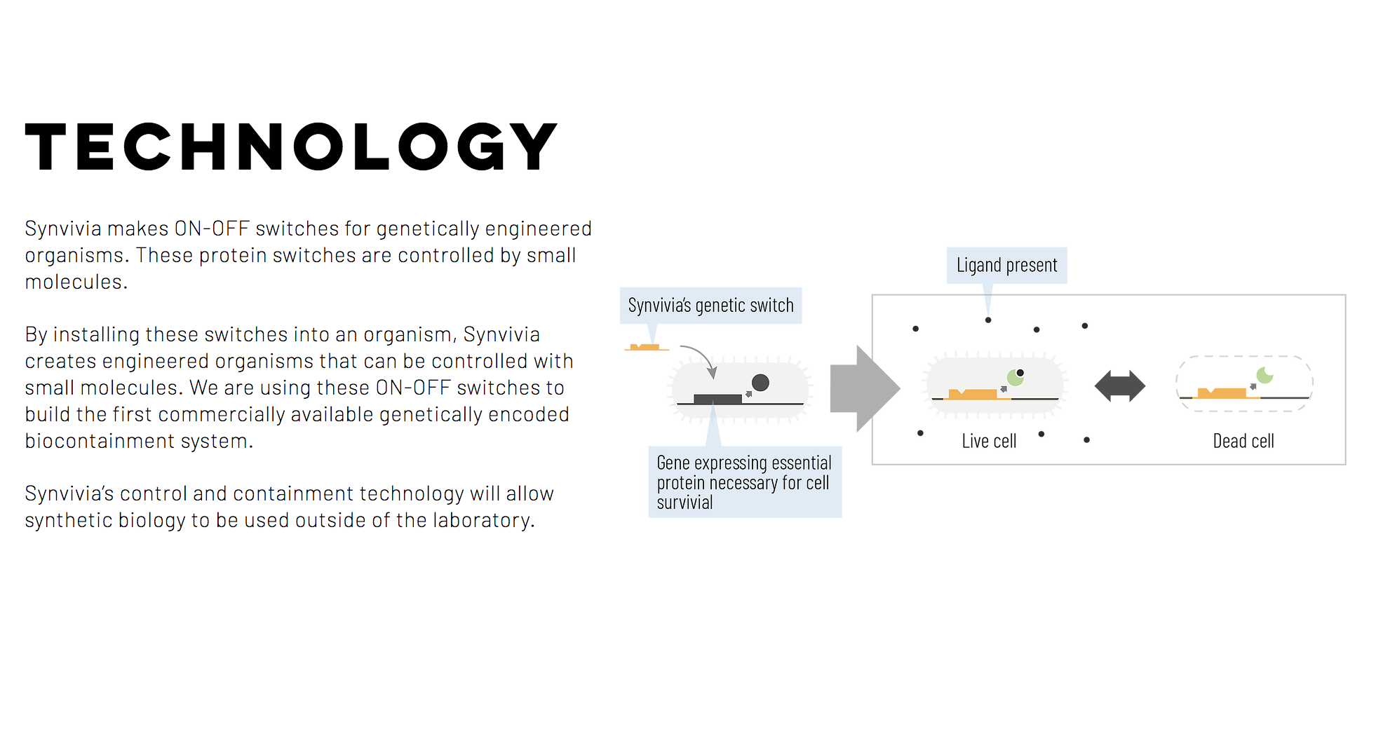Synvivia gallery image