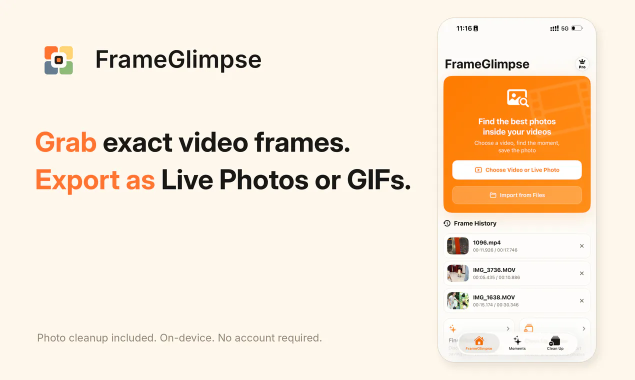 FrameGlimpse: Frame Grabber gallery image