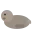 Neil the Seal