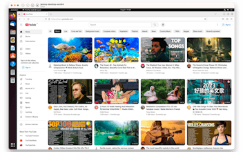 Cheetah gallery image