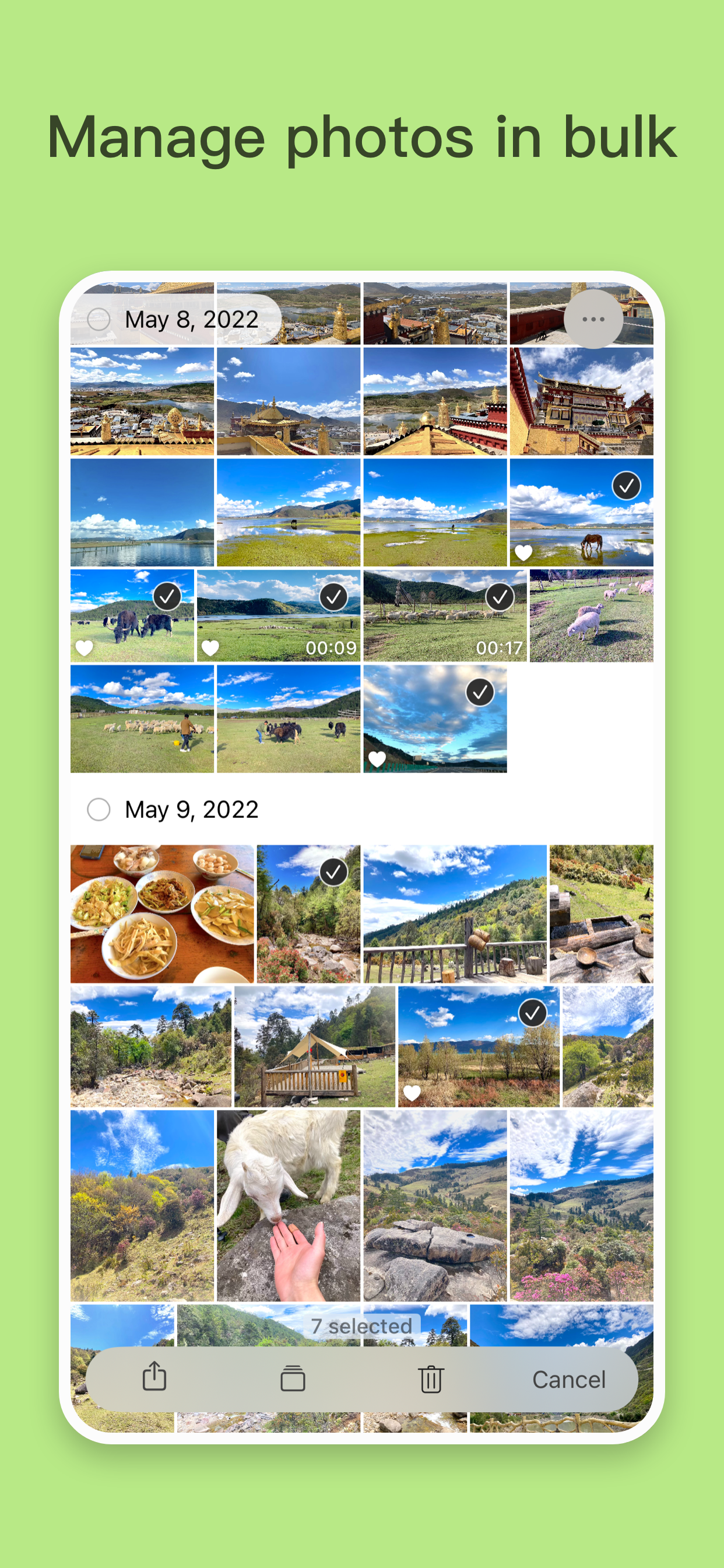 Yophoto media 2