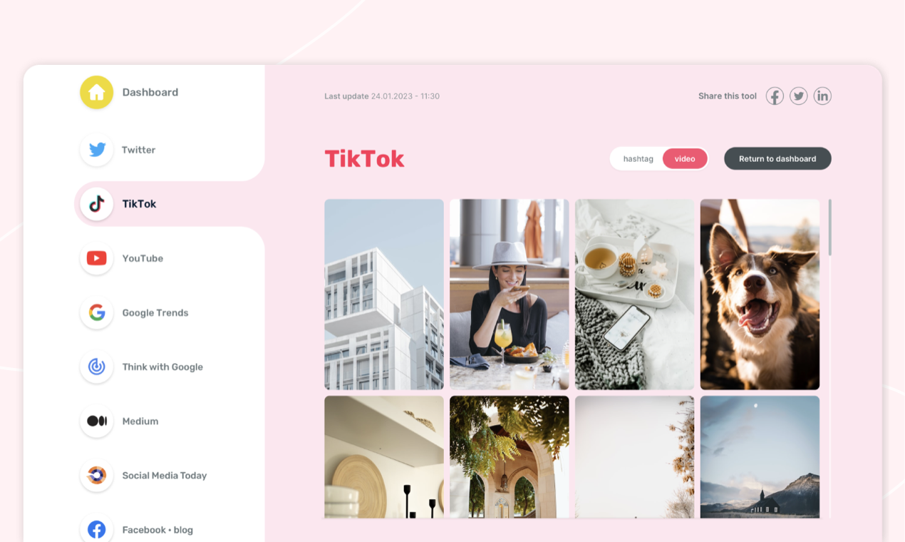 Trendler media 6