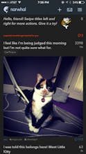 narwhal 2.0 for reddit gallery image