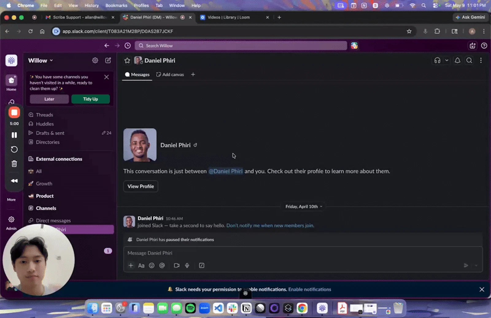 Willow Scribe screenshot 1 (video preview)