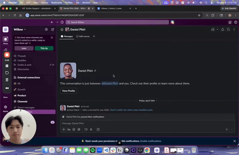 Willow Scribe screenshot 1 (video preview)