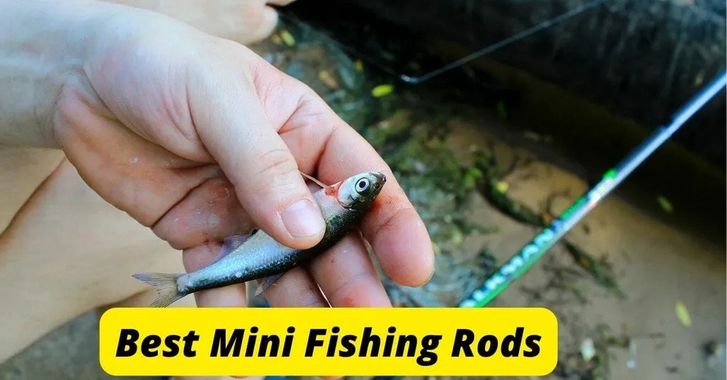 The Best Mini Fishing Rod Review & Guide