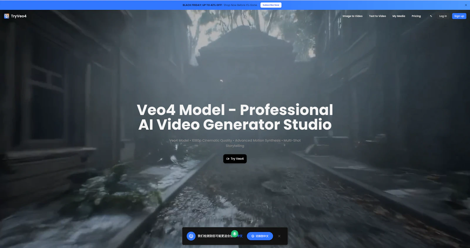 TryVeo4 screenshot 1