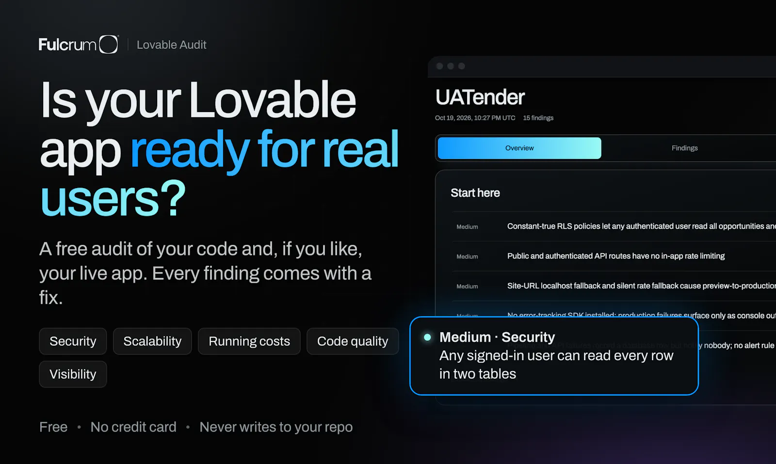 Fulcrum Lovable Audit screenshot 1