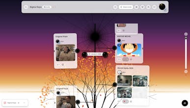 anonity gallery image