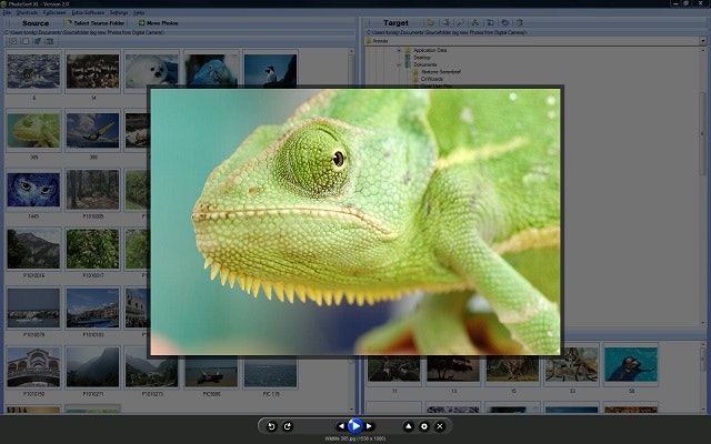 SortPix XL gallery image