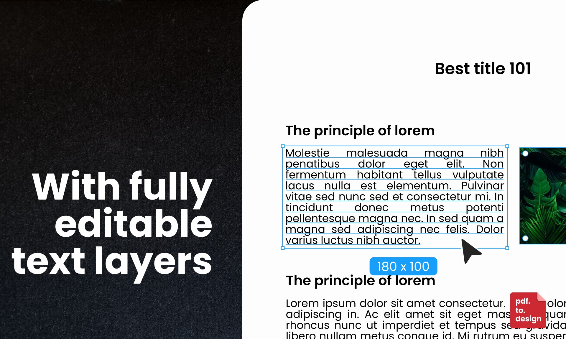 pdf.to.design media 3