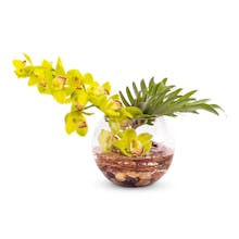 Snapblooms gallery image