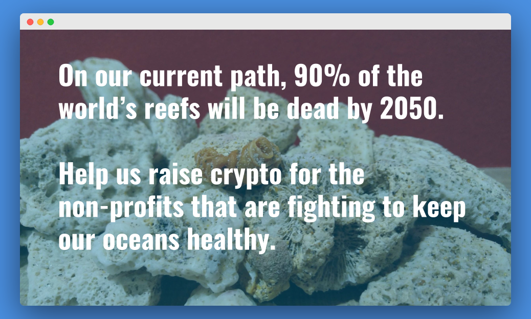 Crypto Reef gallery image