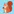 AnyCompress