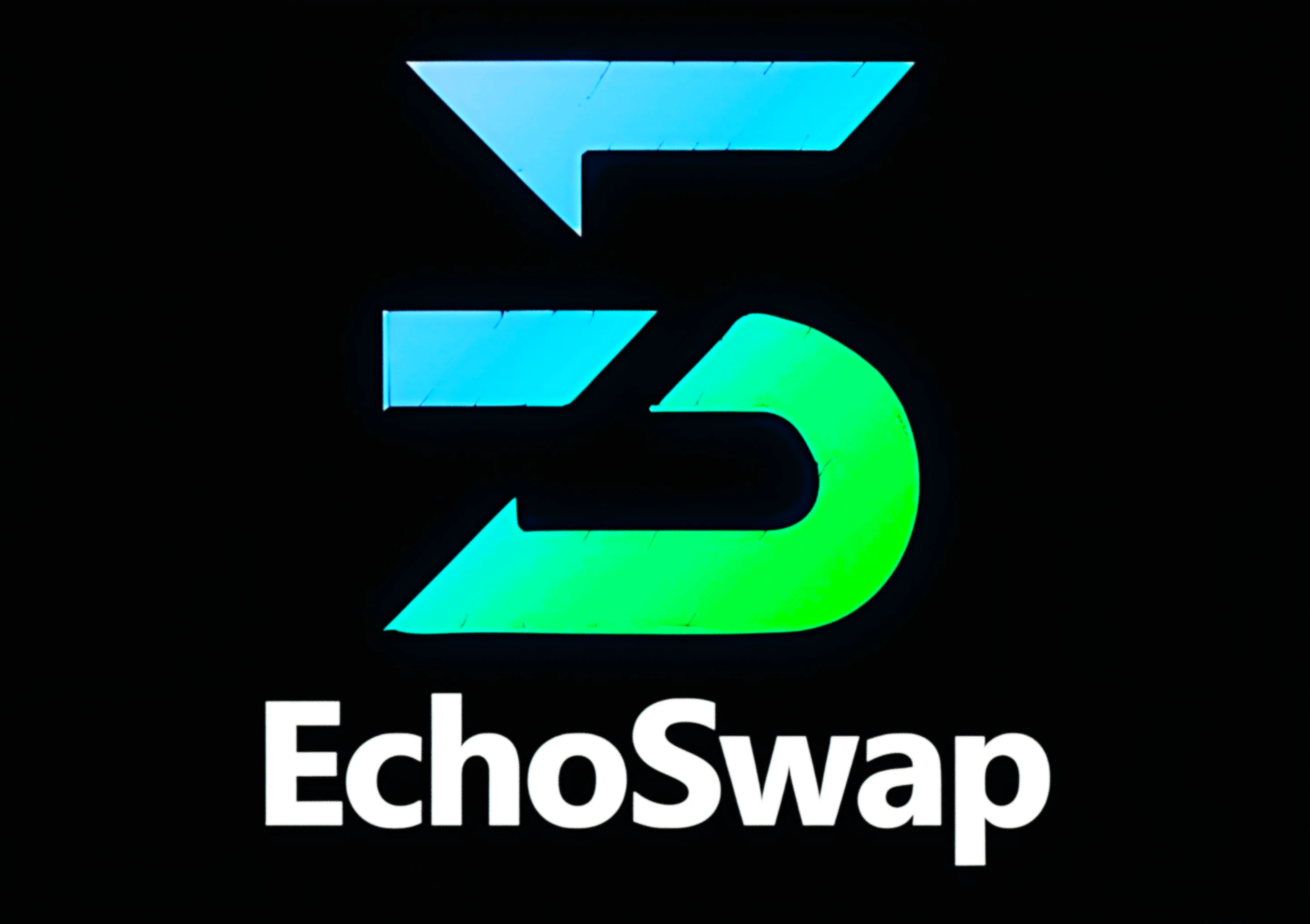 EchoSwap logo