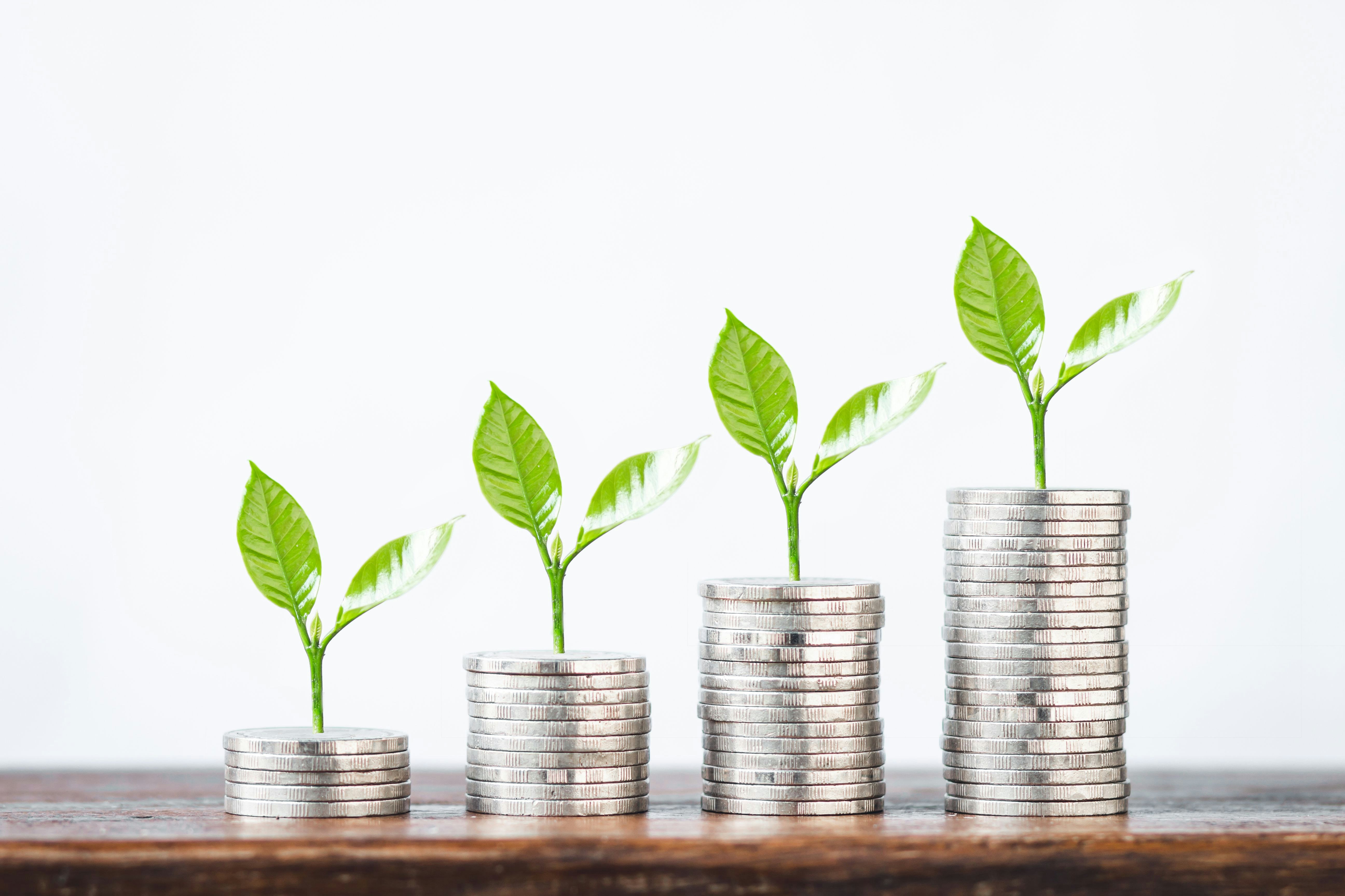 Investopedia gallery image