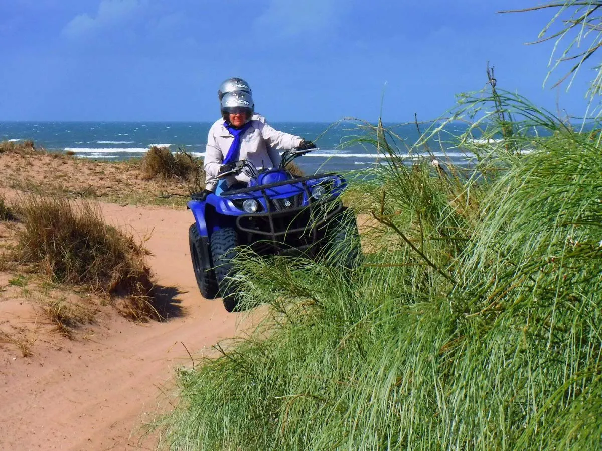 Palma Quad 제품 배너