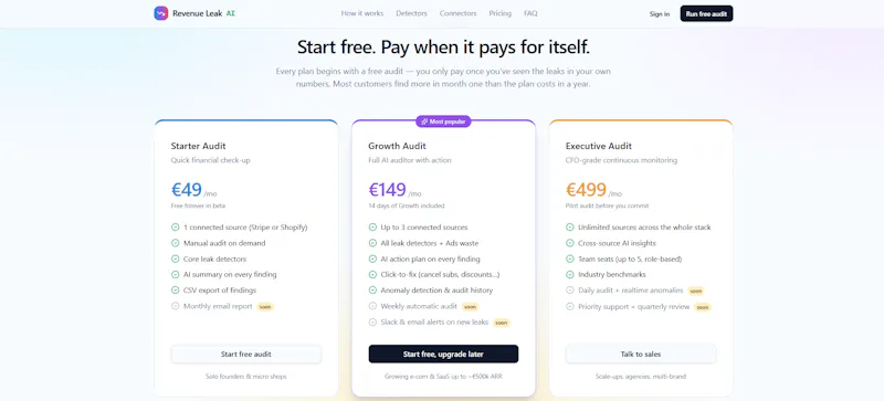 Revenue Leak AI screenshot 2