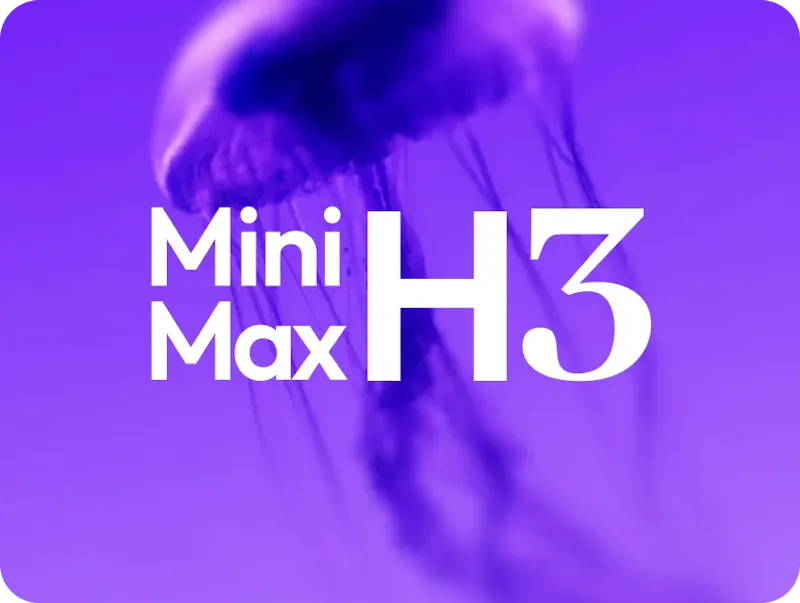 MiniMax H3 screenshot 2