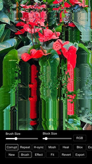 DestroyPix gallery image