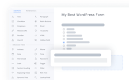 Formidable Forms for WordPress media 3