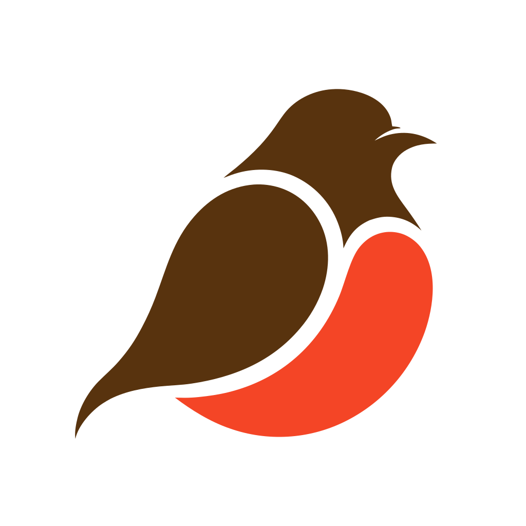 Robin Baby
